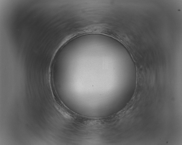 X0000073930100200608251626