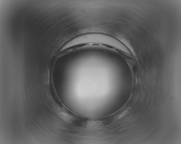 X0000073930109200608251626