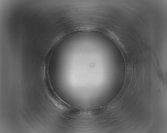 X0000073930110200608251626