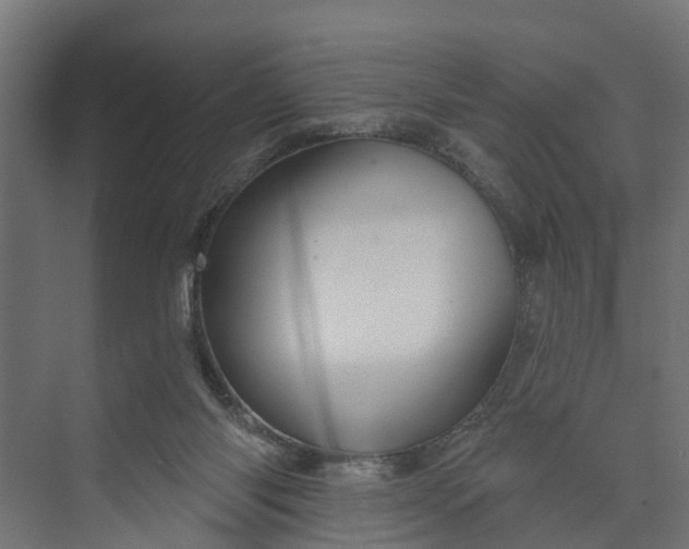 X0000073930118200608251626