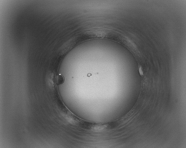 X0000073930122200608251625