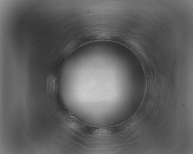 X0000073930123200608251625