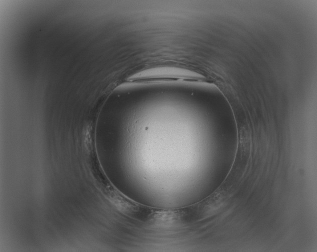 X0000073930127200608251625