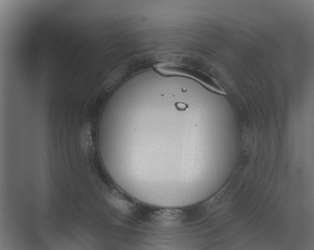 X0000073930128200608251625