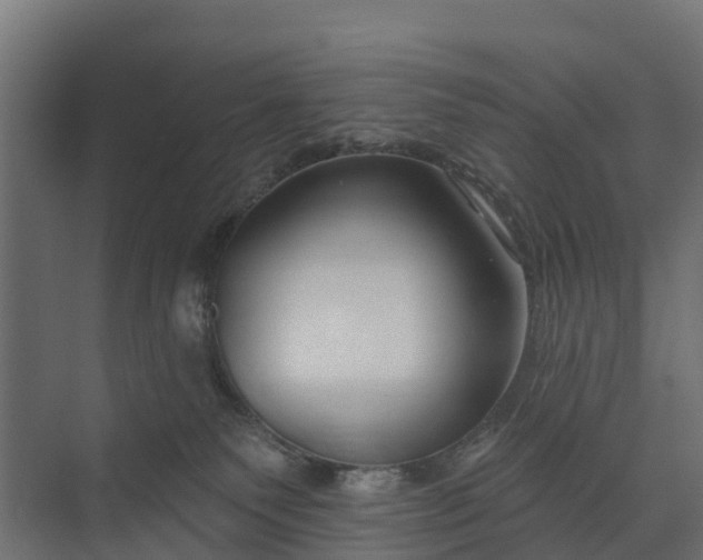 X0000073930135200608251625