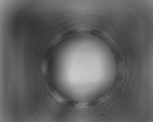 X0000073930138200608251625