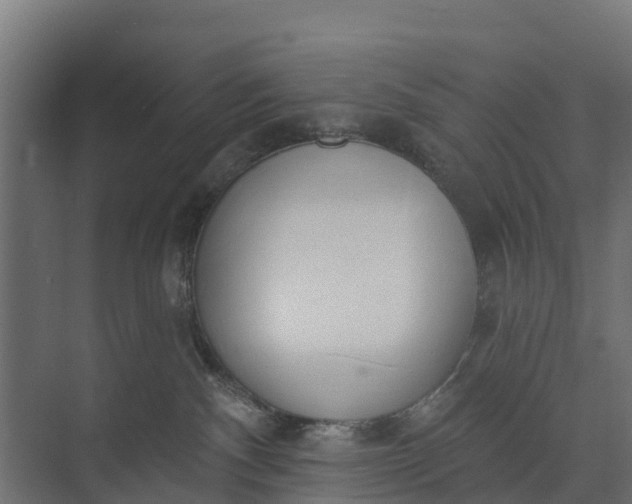 X0000073930140200608251625