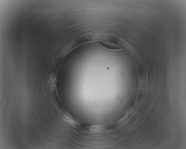 X0000073930142200608251625