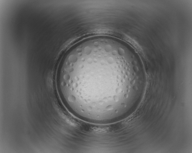 X0000073930155200608251624