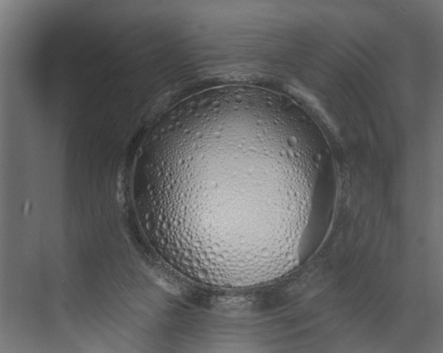 X0000073930161200608251625