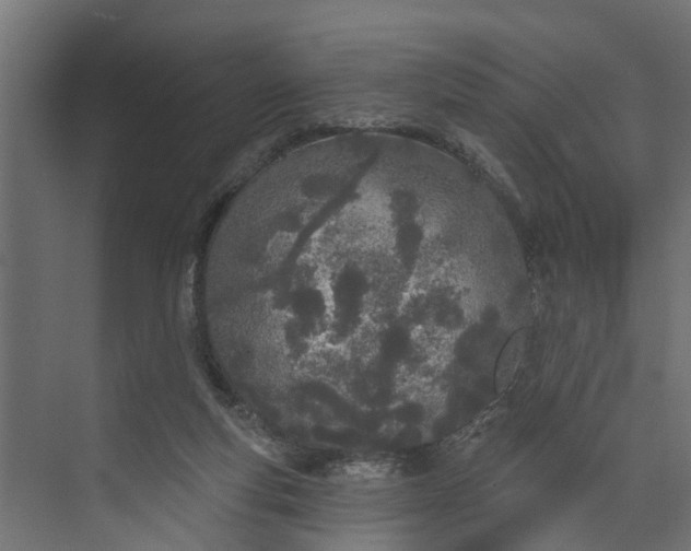 X0000073930163200608251625