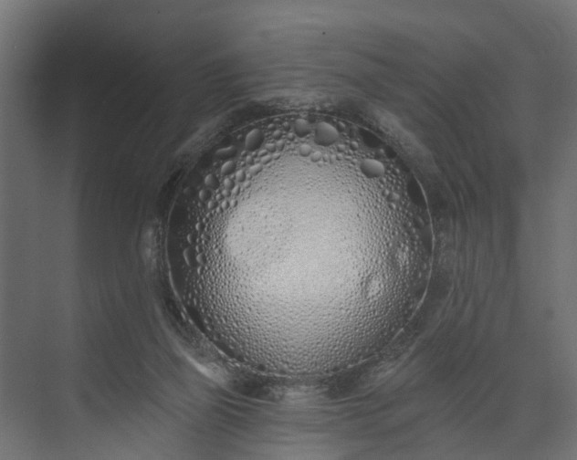 X0000073930165200608251625