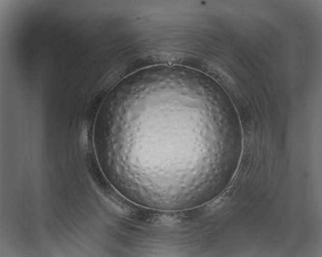 X0000073930166200608251625