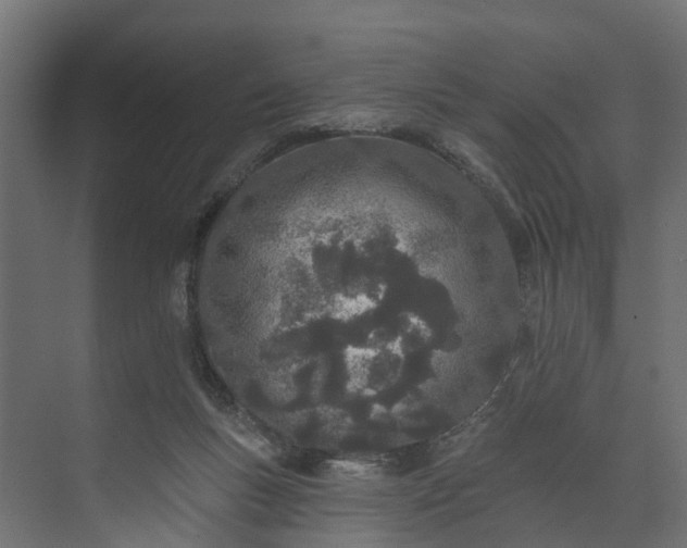 X0000073930167200608251625