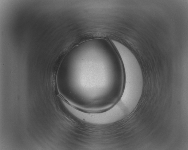 X0000073930172200608251625