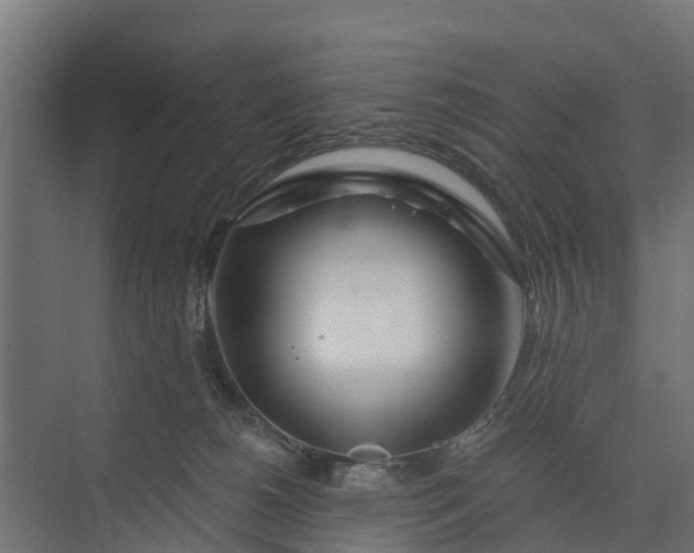 X0000073930180200608251625