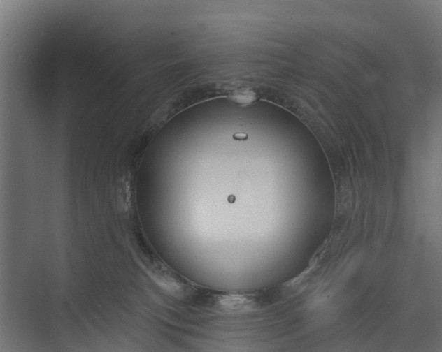 X0000073930183200608251625