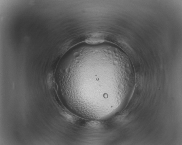 X0000073930189200608251625