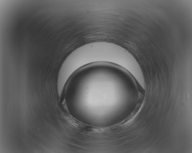 X0000073930190200608251625