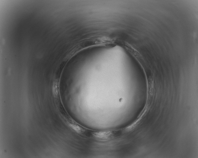 X0000073930191200608251625