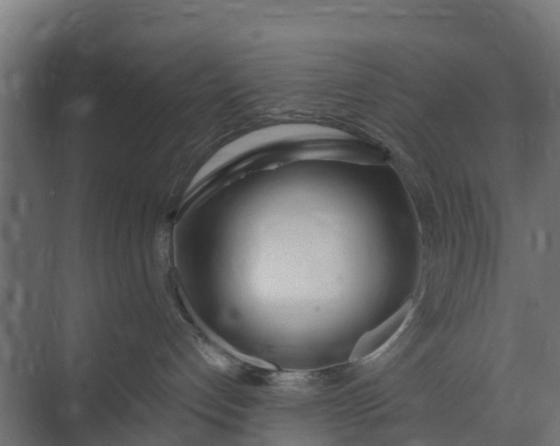 X0000073930192200608251625