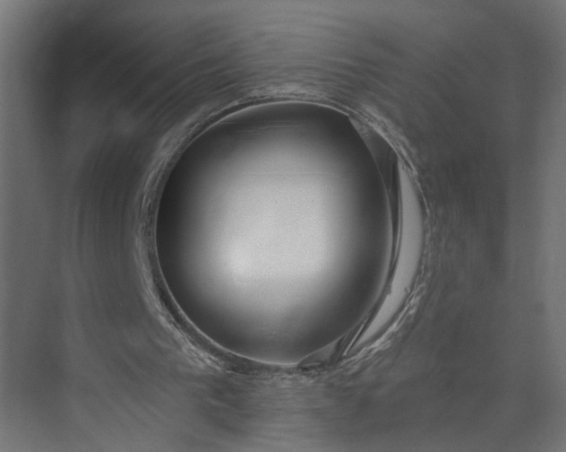 X0000073930193200608251624