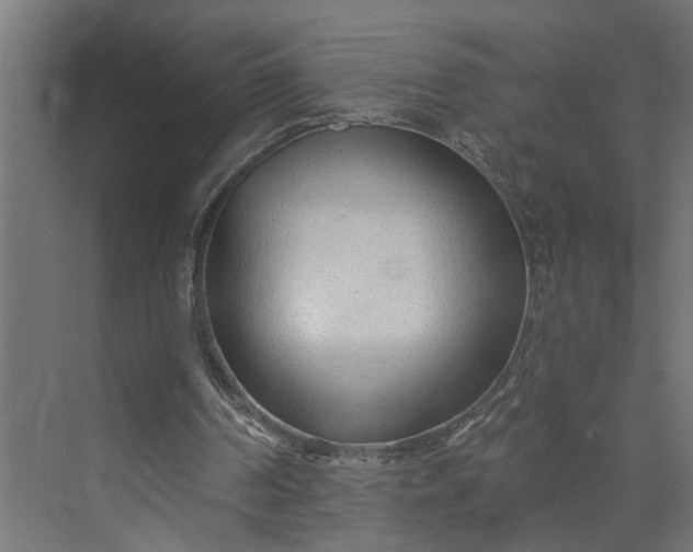 X0000073930194200608251624