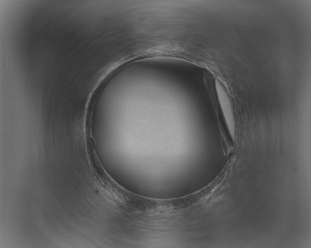 X0000073930196200608251624