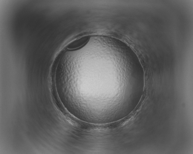 X0000073930198200608251624