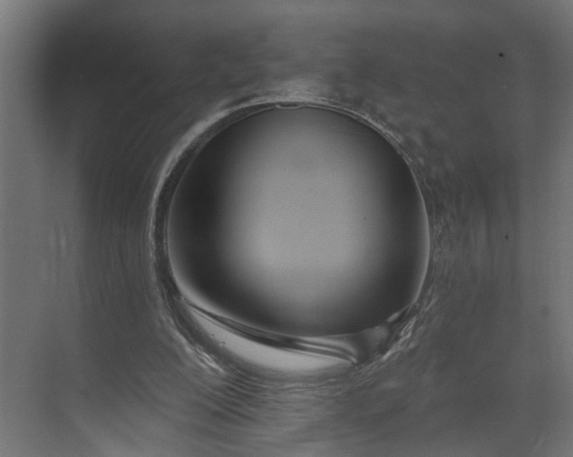 X0000073930200200608251624