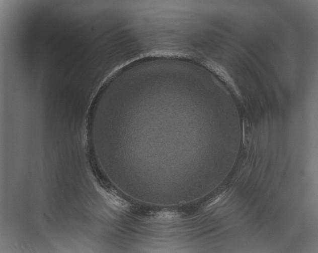 X0000073930204200608251624