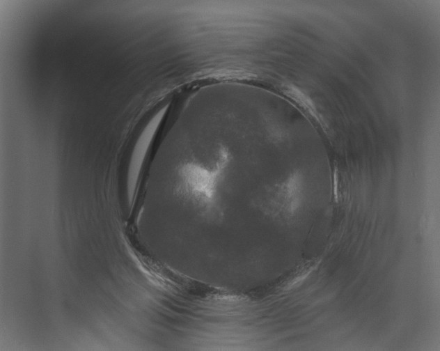 X0000073930205200608251624