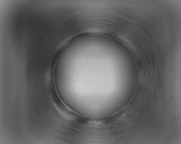 X0000073930208200608251624