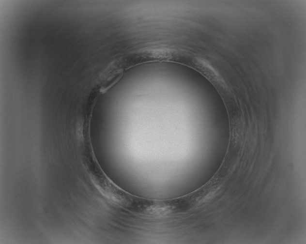 X0000073930213200608251624