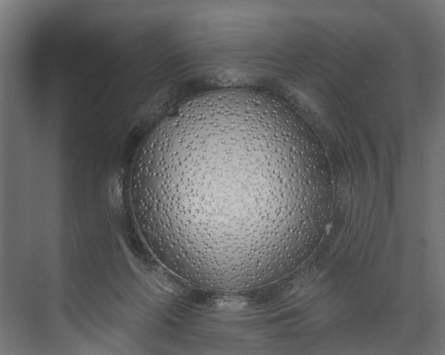 X0000073930214200608251624