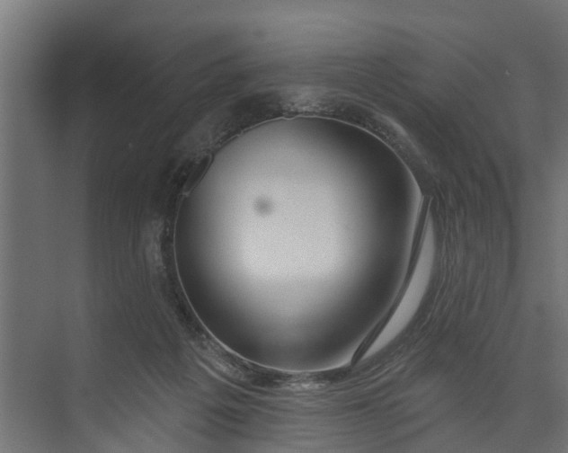 X0000073930217200608251624