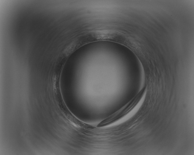 X0000073930219200608251624