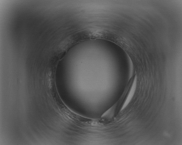 X0000073930223200608251624