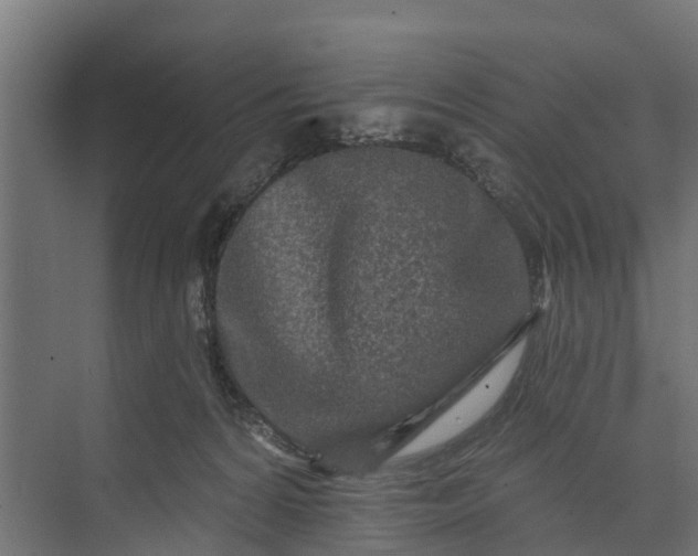 X0000073930224200608251624