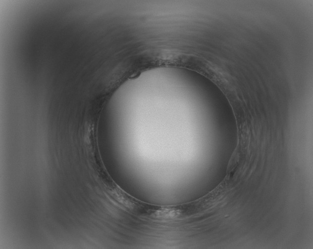 X0000073930225200608251624