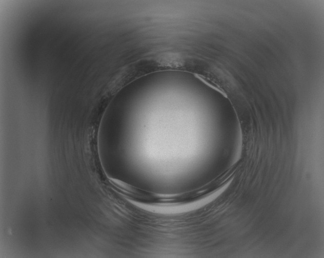 X0000073930229200608251624