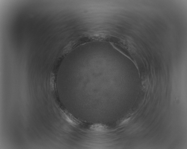 X0000073930231200608251624