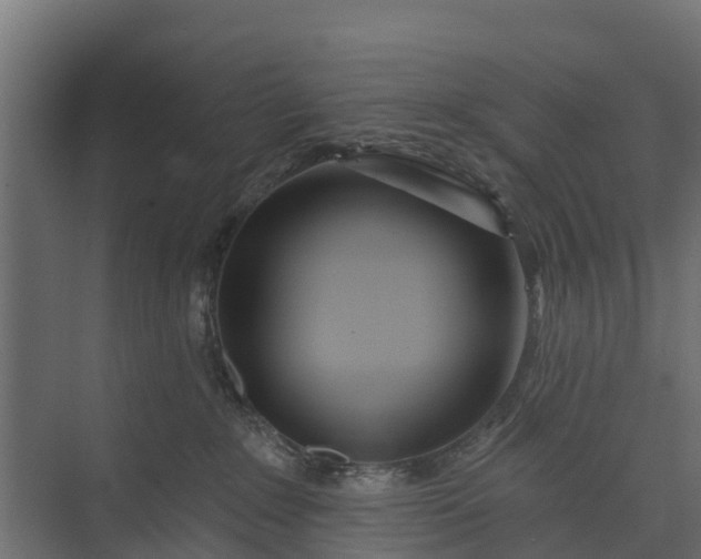 X0000073930235200608251624