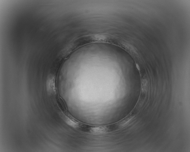 X0000073930238200608251623