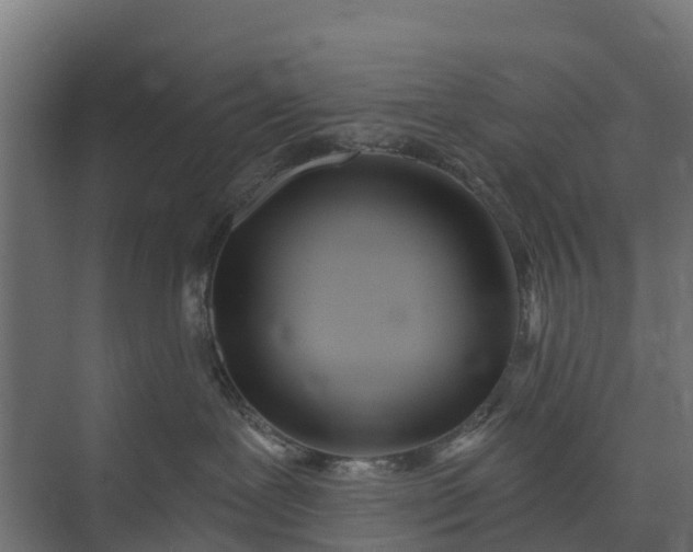 X0000073930239200608251623