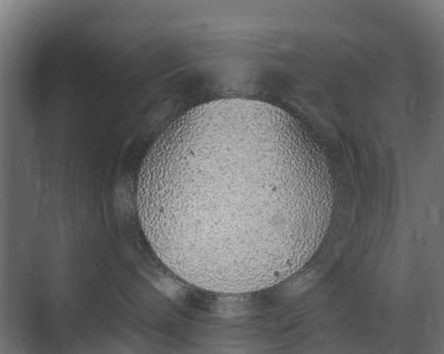 X0000073930240200608251623