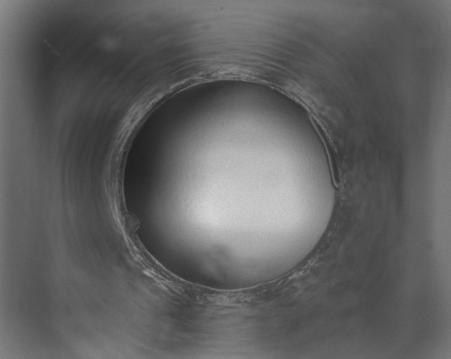 X0000073930241200608251623