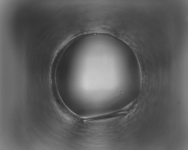 X0000073930248200608251623