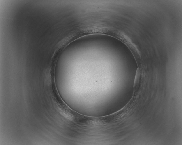 X0000073930250200608251623