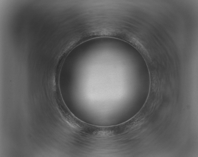 X0000073930251200608251623